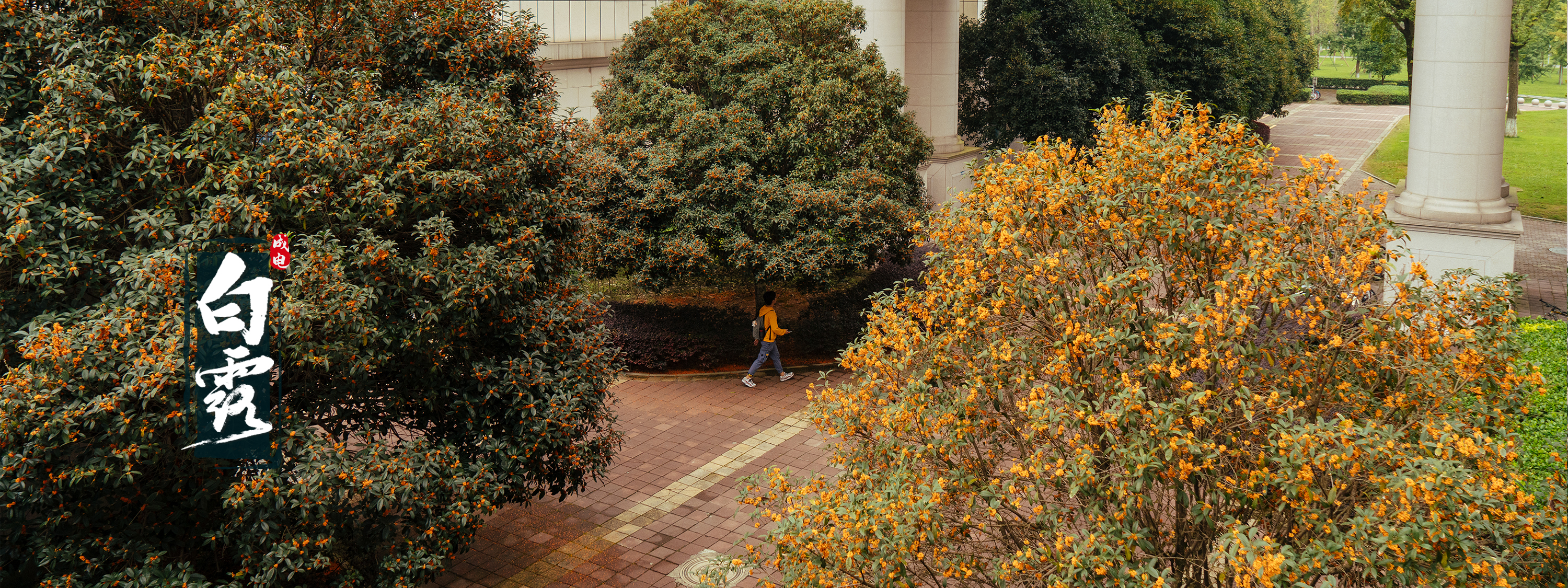 爱·体育（中国）官方网站 UESTC